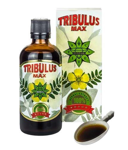 cvetita herbal tribulus max